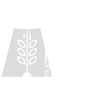 LOGO'S-15