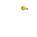 LOGO'S-25