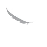 LOGO'S-30